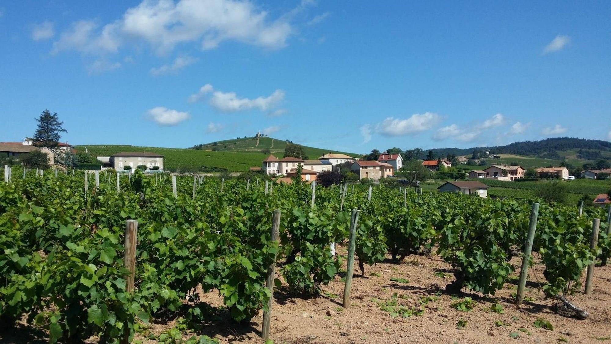 Logis Hotel Des Grands Vins Флері Екстер'єр фото