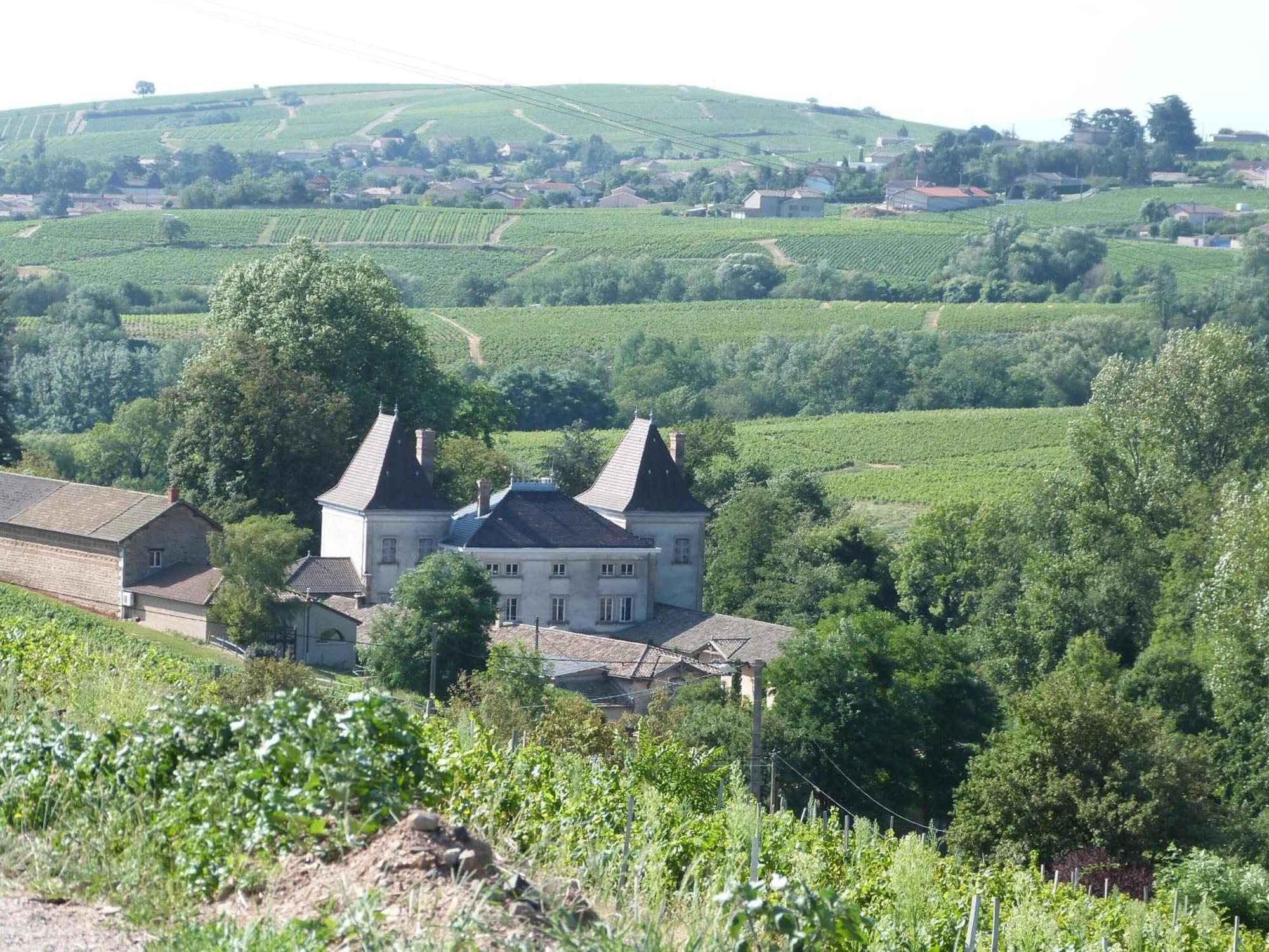 Logis Hotel Des Grands Vins Флері Екстер'єр фото